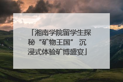 湘南学院留学生探秘“矿物王国” 沉浸式体验矿博盛宴