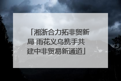 湘浙合力拓非贸新局 雨花义乌携手共建中非贸易新通道
