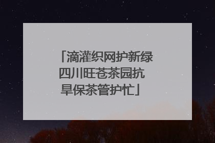 滴灌织网护新绿 四川旺苍茶园抗旱保茶管护忙