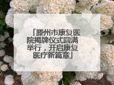 滕州市康复医院揭牌仪式圆满举行，开启康复医疗新篇章