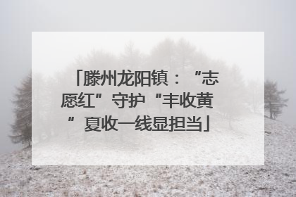 滕州龙阳镇：“志愿红”守护“丰收黄”夏收一线显担当