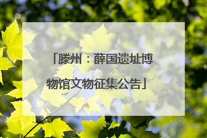 滕州：薛国遗址博物馆文物征集公告