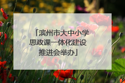 滨州市大中小学思政课一体化建设推进会举办