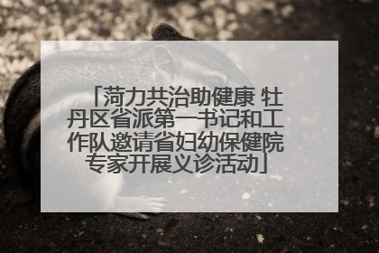菏力共治助健康 牡丹区省派第一书记和工作队邀请省妇幼保健院专家开展义诊活动
