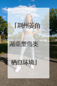 荆州菱角湖重塑鸟类栖息环境