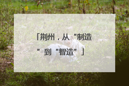 荆州，从“制造”到“智造”