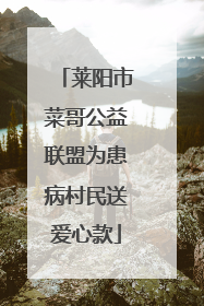 莱阳市菜哥公益联盟为患病村民送爱心款