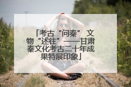 考古“问秦” 文物“述往”——甘肃秦文化考古二十年成果特展印象