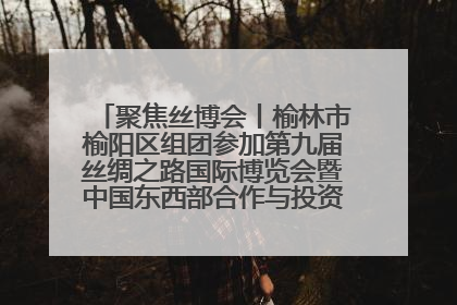 聚焦丝博会丨榆林市榆阳区组团参加第九届丝绸之路国际博览会暨中国东西部合作与投资贸易洽谈会