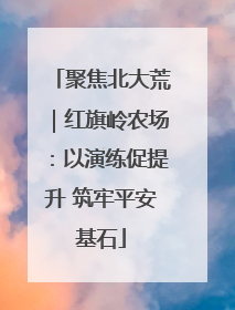 聚焦北大荒｜红旗岭农场：以演练促提升 筑牢平安基石