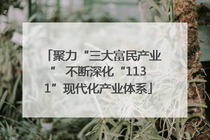 聚力“三大富民产业” 不断深化“1131”现代化产业体系