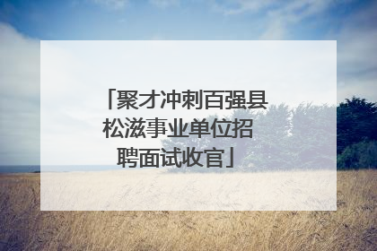 聚才冲刺百强县 松滋事业单位招聘面试收官