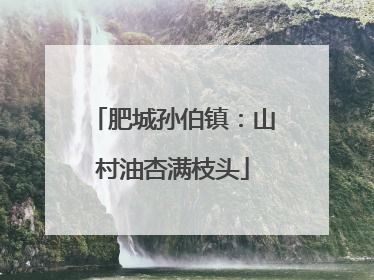 肥城孙伯镇：山村油杏满枝头