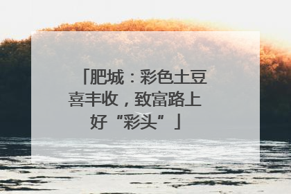肥城：彩色土豆喜丰收，致富路上好“彩头”