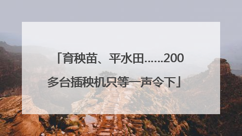 育秧苗、平水田……200多台插秧机只等一声令下