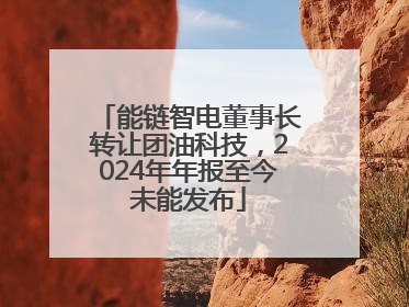 能链智电董事长转让团油科技，2024年年报至今未能发布