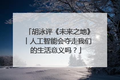 胡泳评《未来之地》︱人工智能会夺走我们的生活意义吗？