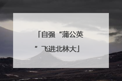 自强“蒲公英”飞进北林大