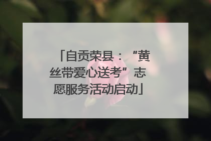 自贡荣县：“黄丝带爱心送考”志愿服务活动启动