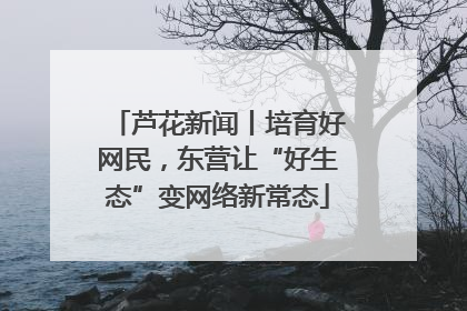 芦花新闻丨培育好网民，东营让“好生态”变网络新常态
