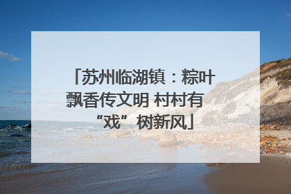 苏州临湖镇：粽叶飘香传文明 村村有“戏”树新风