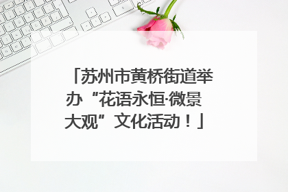 苏州市黄桥街道举办“花语永恒·微景大观”文化活动！