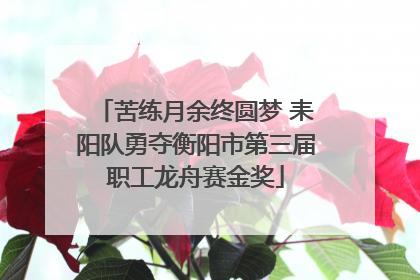 苦练月余终圆梦 耒阳队勇夺衡阳市第三届职工龙舟赛金奖