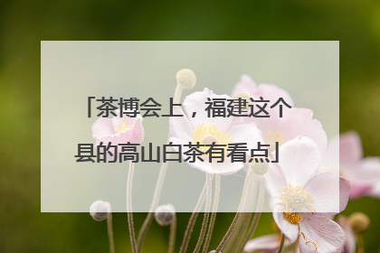 茶博会上，福建这个县的高山白茶有看点