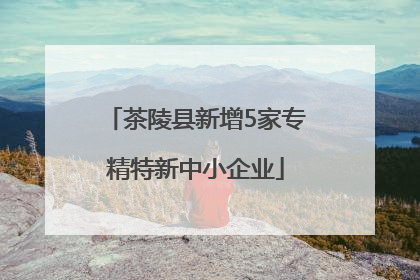 茶陵县新增5家专精特新中小企业