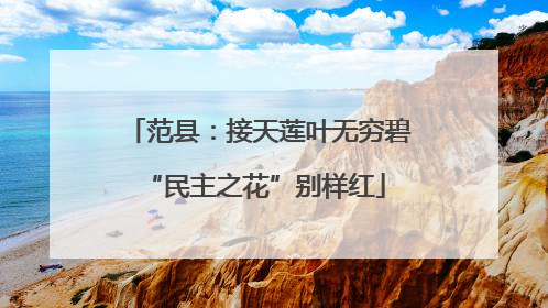 范县：接天莲叶无穷碧 “民主之花”别样红