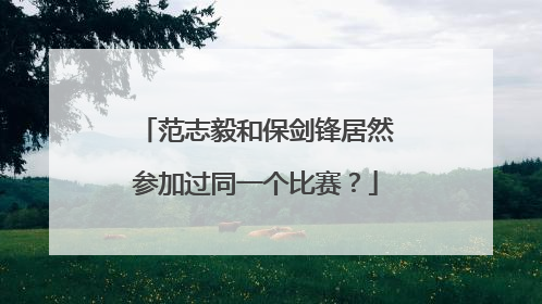 范志毅和保剑锋居然参加过同一个比赛？
