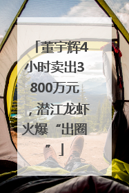 董宇辉4小时卖出3800万元，潜江龙虾火爆“出圈”