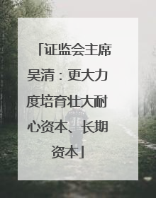 证监会主席吴清：更大力度培育壮大耐心资本、长期资本