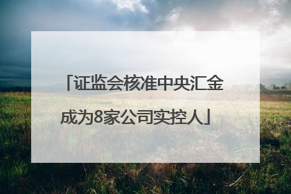 证监会核准中央汇金成为8家公司实控人