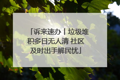 诉来速办丨垃圾堆积多日无人清 社区及时出手解民忧