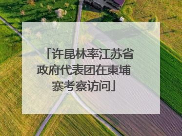 许昆林率江苏省政府代表团在柬埔寨考察访问