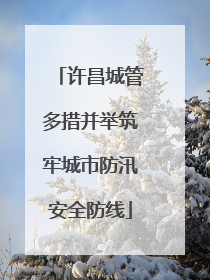 许昌城管多措并举筑牢城市防汛安全防线