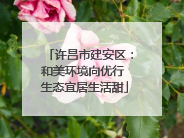 许昌市建安区：和美环境向优行 生态宜居生活甜