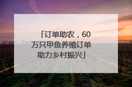 订单助农，60万只甲鱼养殖订单助力乡村振兴