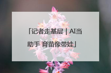记者走基层｜AI当助手 育苗像带娃