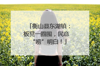 衡山县东湖镇：板凳一圈围，民意“唠”明白！