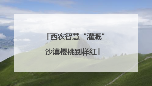 西农智慧“灌溉” 沙漠樱桃别样红