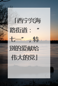 西宁兴海路街道：“七一”，特别的爱献给伟大的党