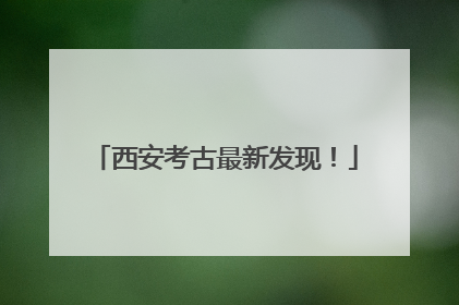 西安考古最新发现！
