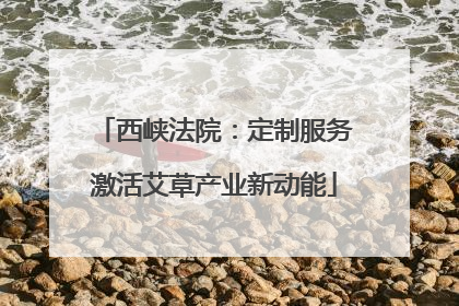 西峡法院：定制服务激活艾草产业新动能