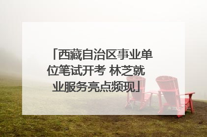 西藏自治区事业单位笔试开考 林芝就业服务亮点频现