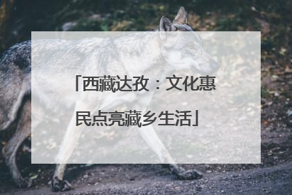 西藏达孜：文化惠民点亮藏乡生活
