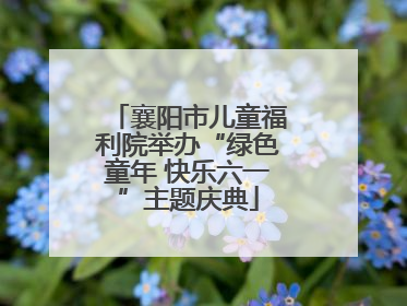 襄阳市儿童福利院举办“绿色童年 快乐六一”主题庆典