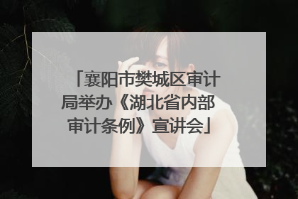 襄阳市樊城区审计局举办《湖北省内部审计条例》宣讲会
