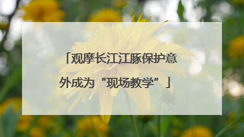 观摩长江江豚保护意外成为“现场教学”